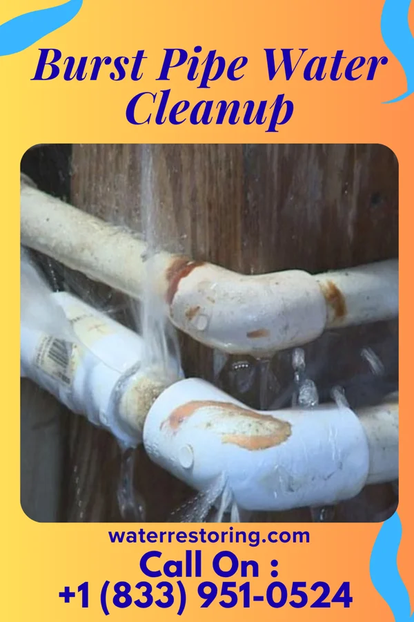 Burst Pipe Water Cleanup in Seymour, TX