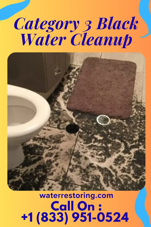 Category 3 Black Water Cleanup in Seymour, TX