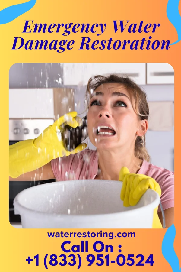 Emergency Water Damage Restoration in Seymour, TX