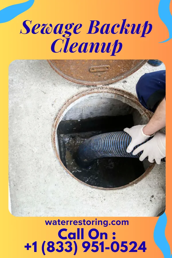 Sewage Backup Cleanup in Seymour, TX