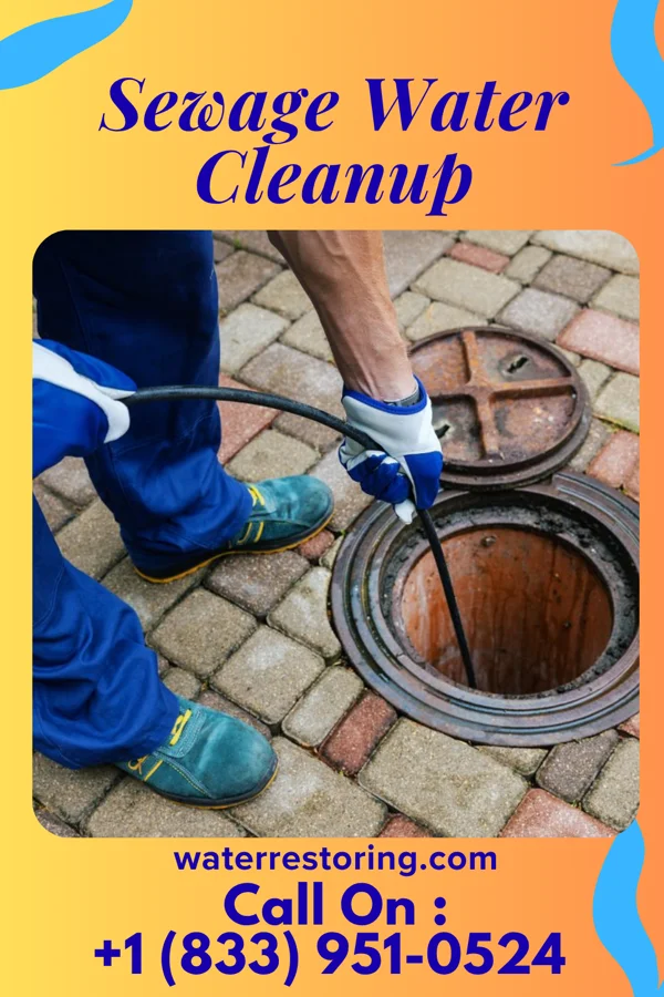 Sewage Water Cleanup in Seymour, TX