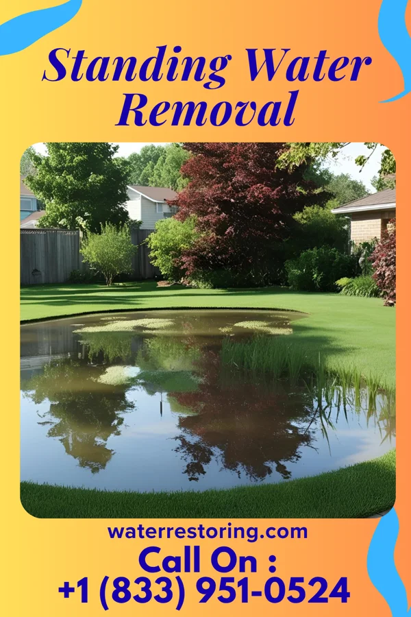 Standing Water Removal in Seymour, TX